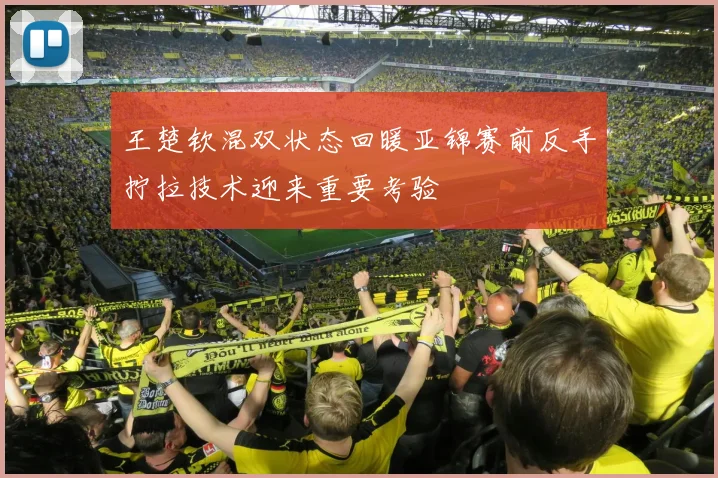 王楚钦混双状态回暖亚锦赛前反手拧拉技术迎来重要考验
