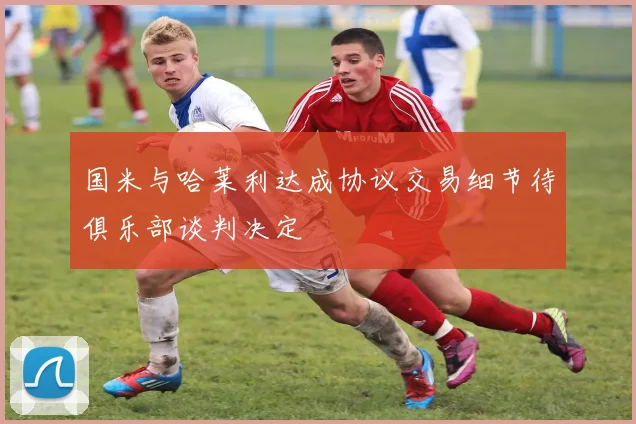 国米与哈莱利达成协议交易细节待俱乐部谈判决定